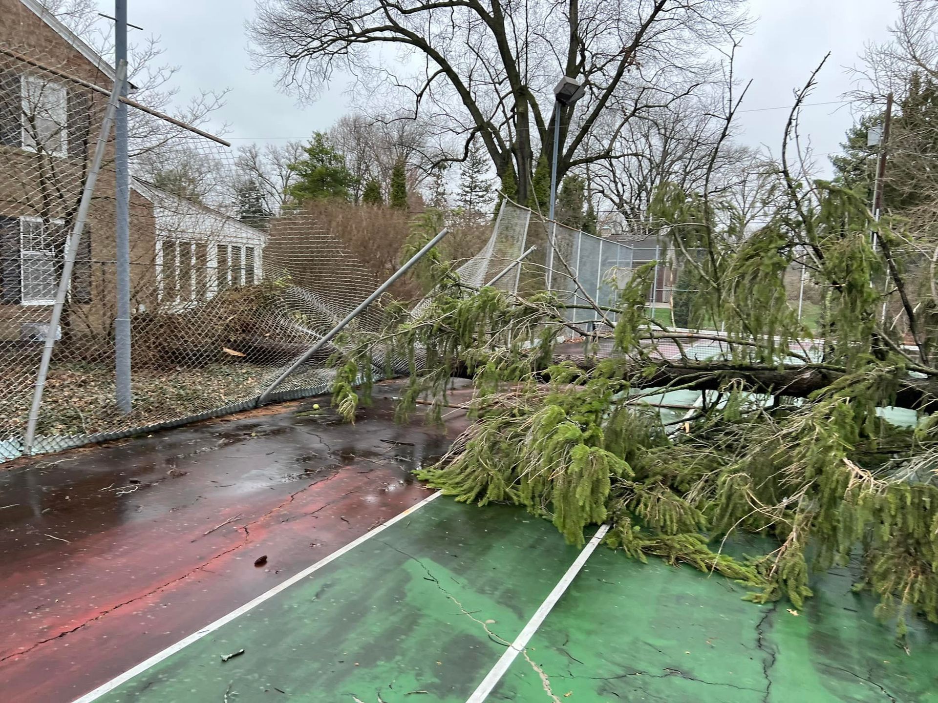 Fallen tree and branches blocking an outdoor tennis court after a storm.