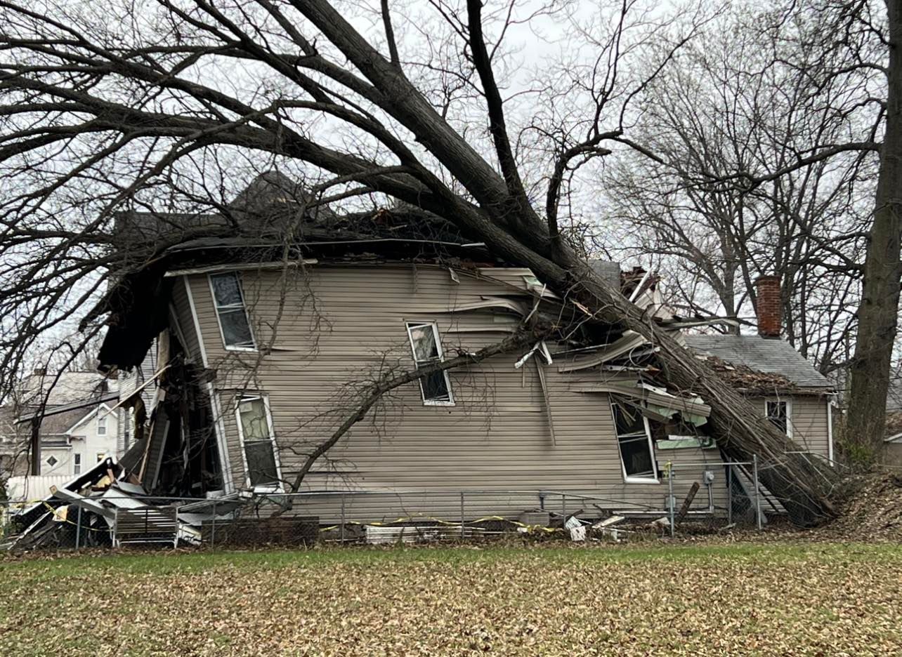 Damaged house with a large fallen tree crushing the roof and side in a leaf-covered yard