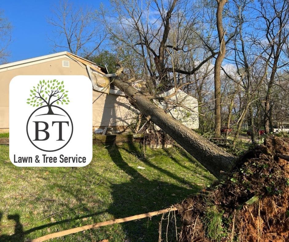 Tree service logo over a photo of a fallen tree in a yard