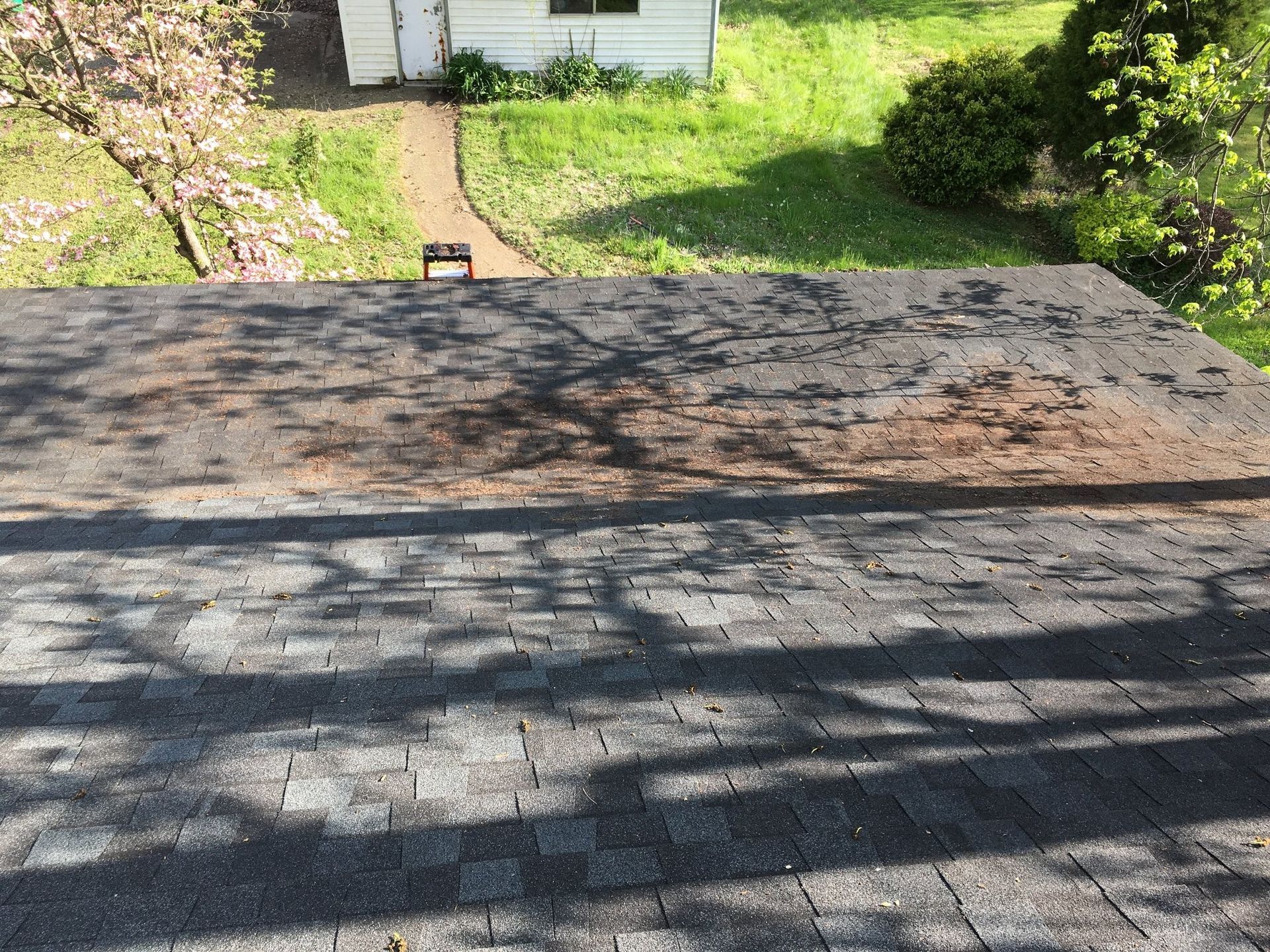 Rooftop shingles with a weathered patch, overlooking a backyard and small shed.