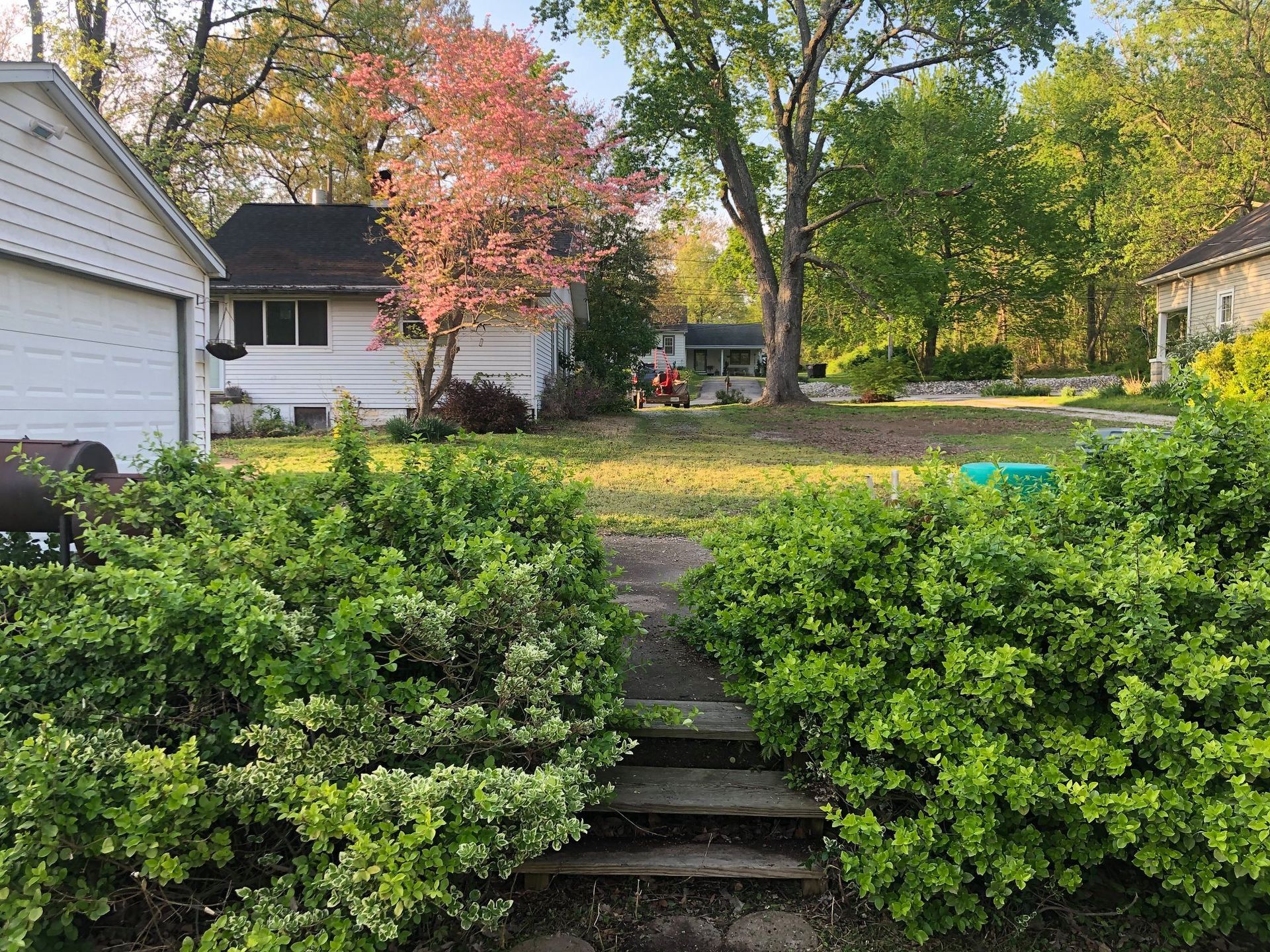 Front yard with stone steps, green shrubs, and a house under autumn trees