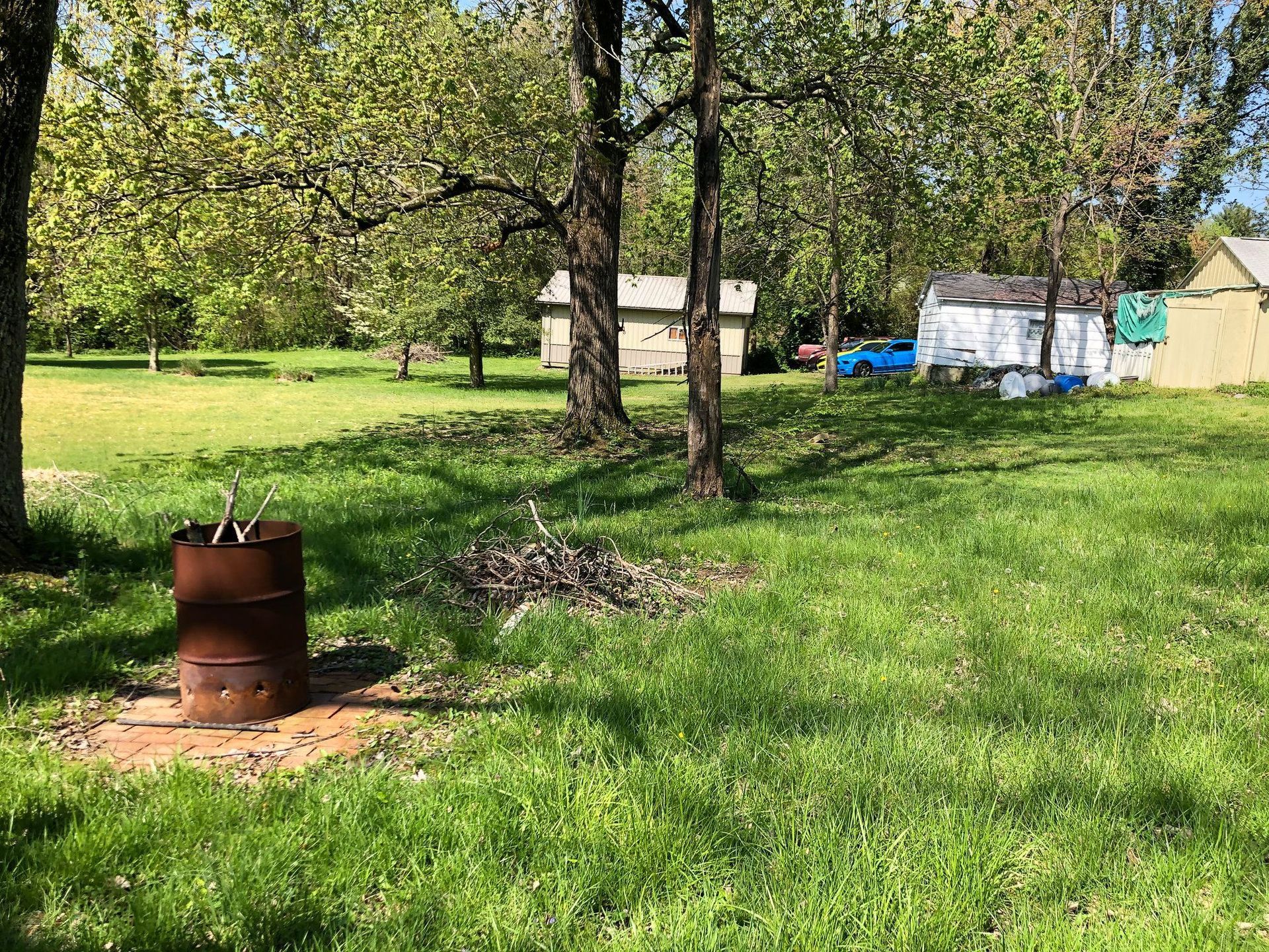 Sunny backyard with green grass, trees, a rusty fire pit, and sheds in the background