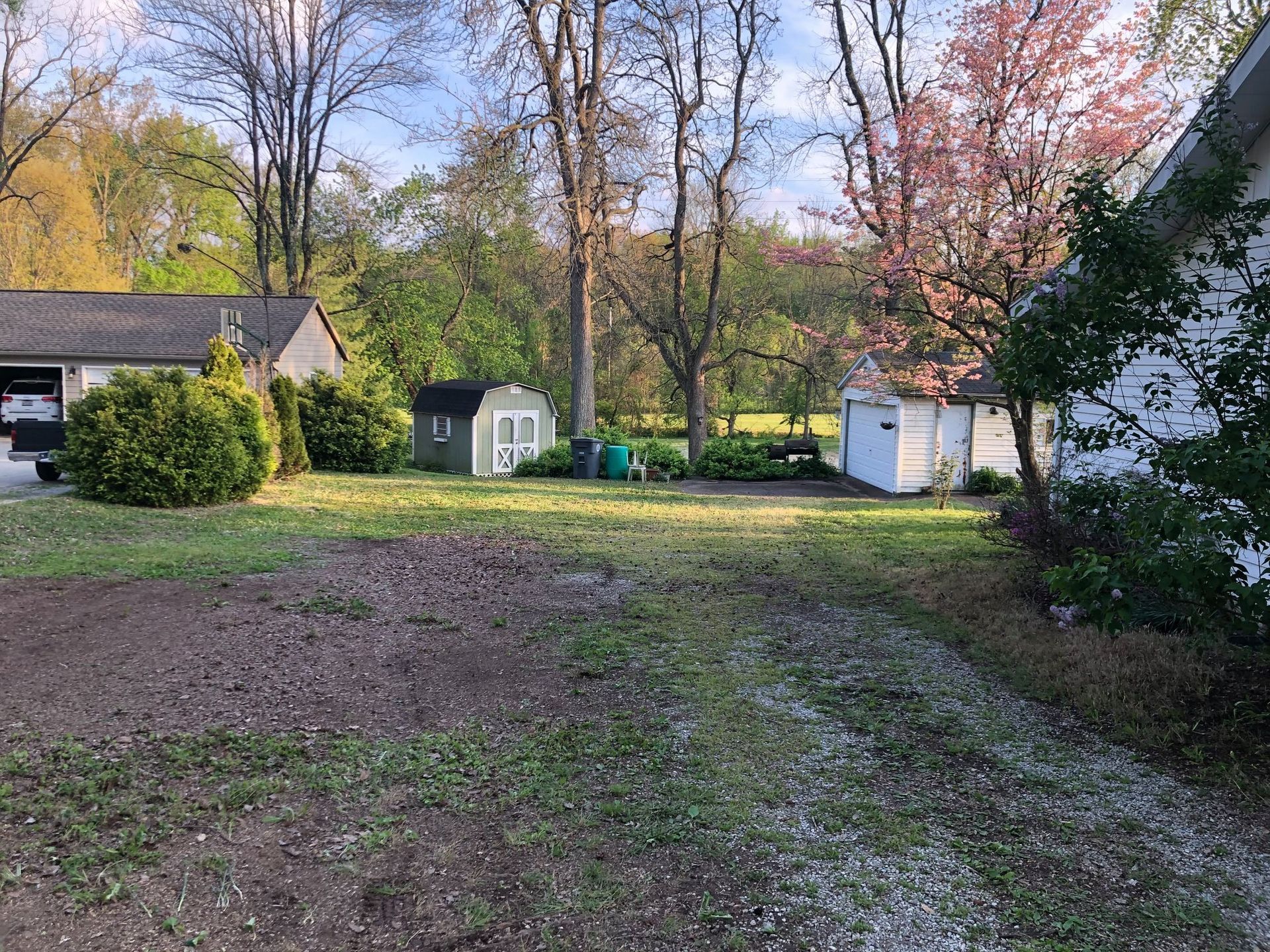 Backyard with trees in autumn, a small shed, and a house partially visible on the left.