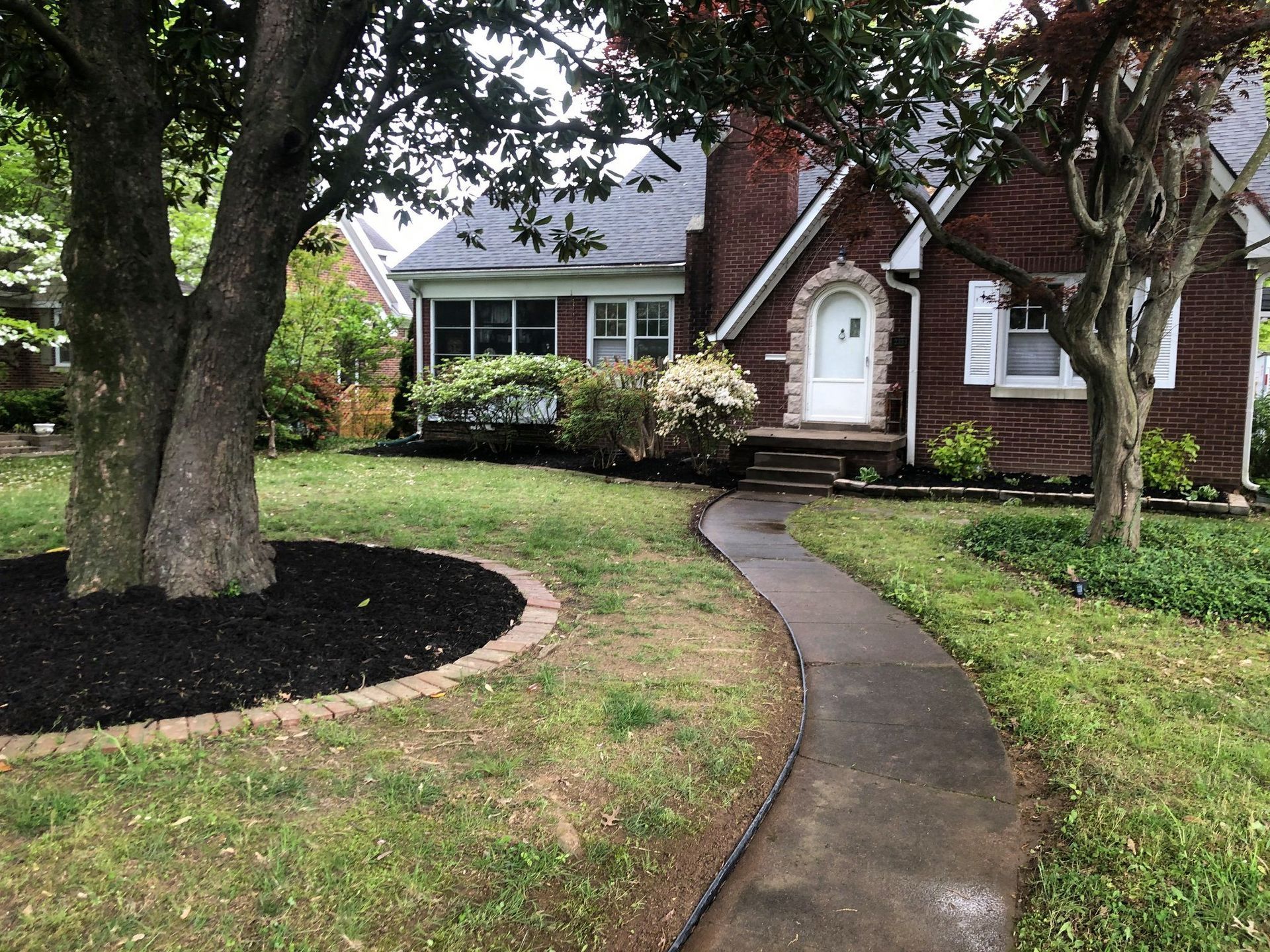 Curved walkway leading to a brick house with white trim and trees in the front yard after rain