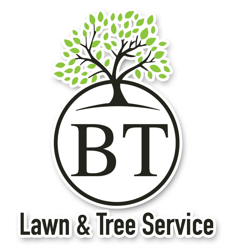 BT Lawn & Tree Service logo with green tree above black circular emblem and text.