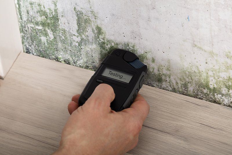 Mold Inspections