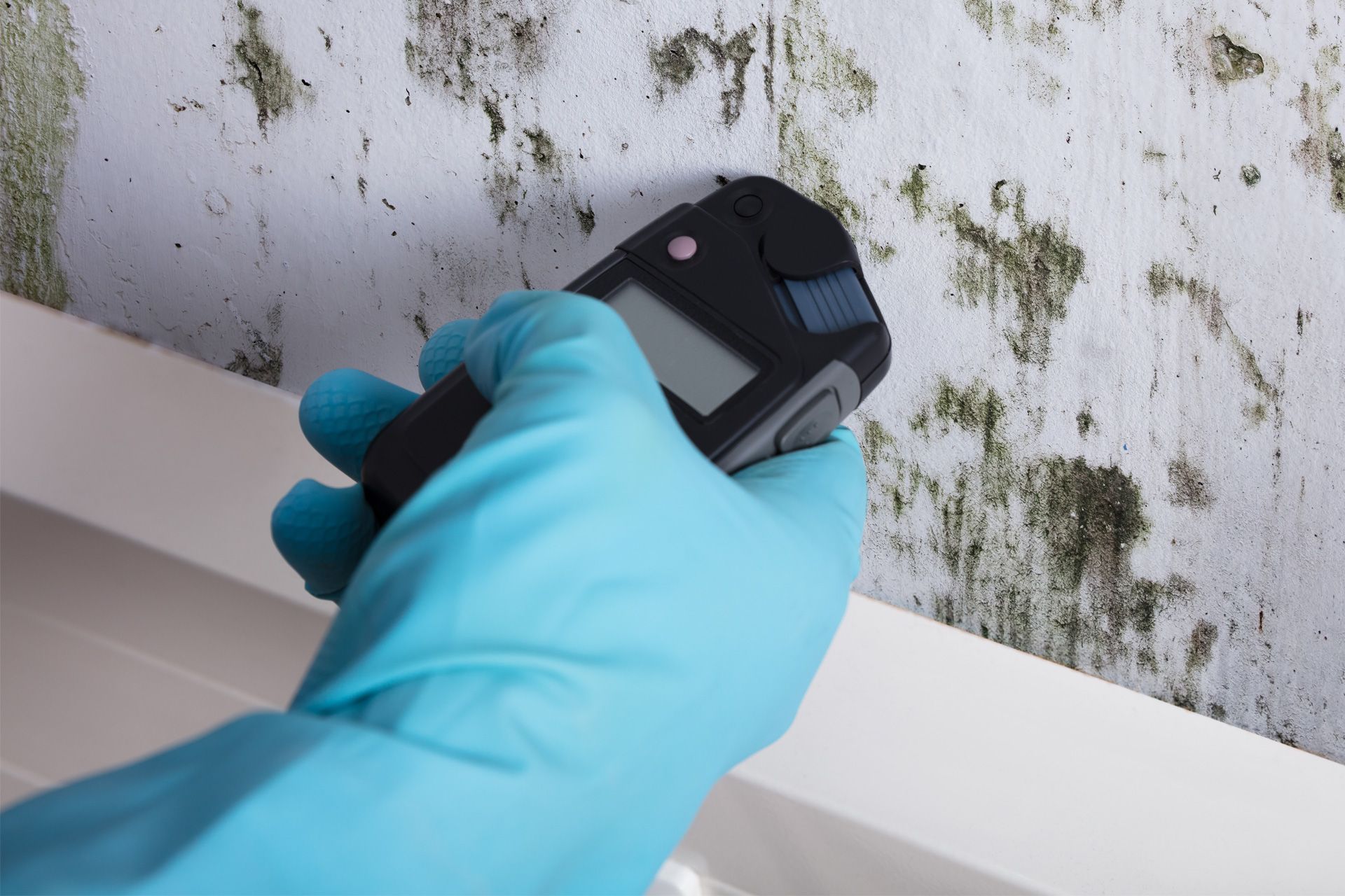 Mold Testing