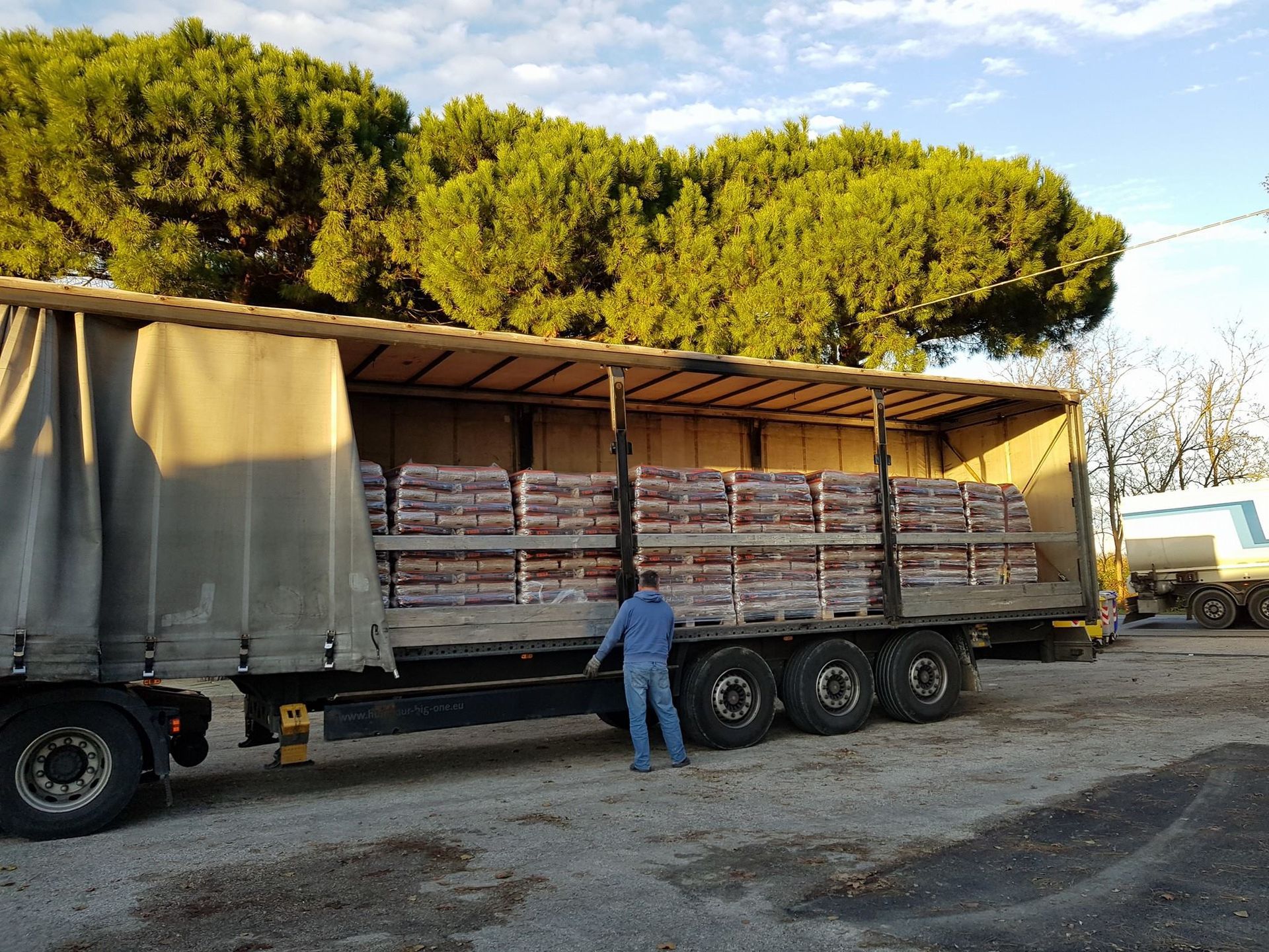 consegna a domicilio pellet e legna