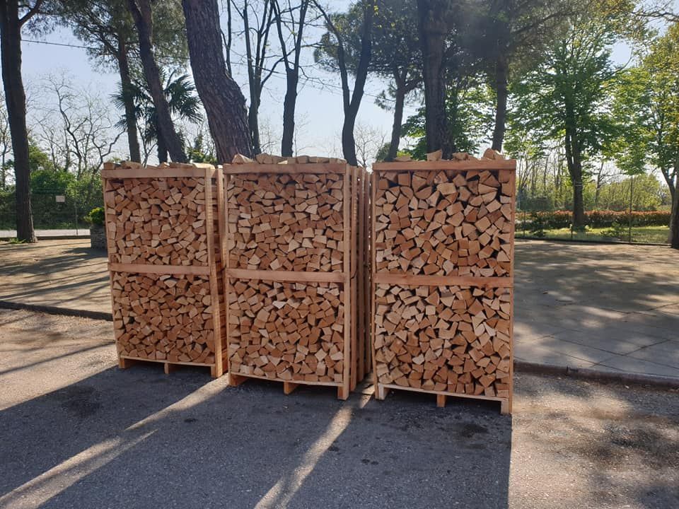 Negozio di ottica