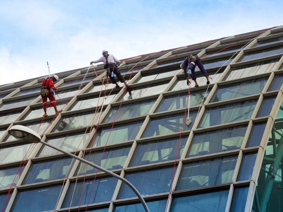 commercial moss removal in vancouver bc