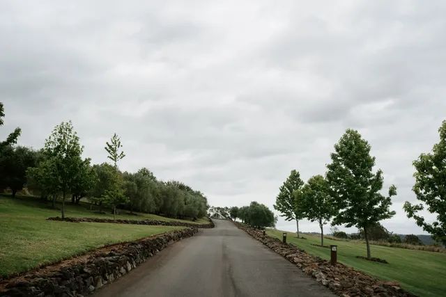 A road with trees on both sides and a cloudy sky in the background.
