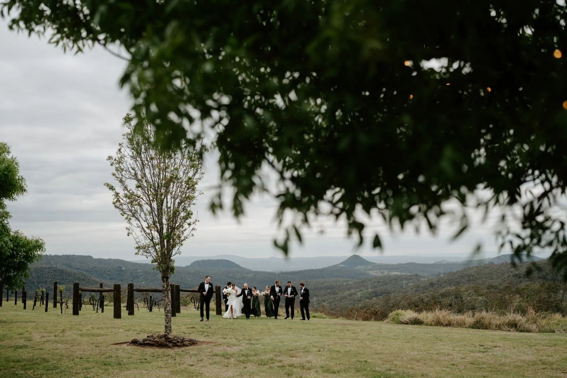 A group of people standing under a tree in a field.