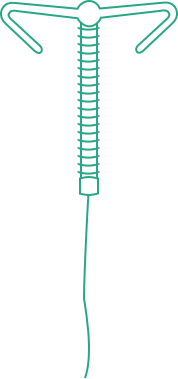 Flexi-T 300
