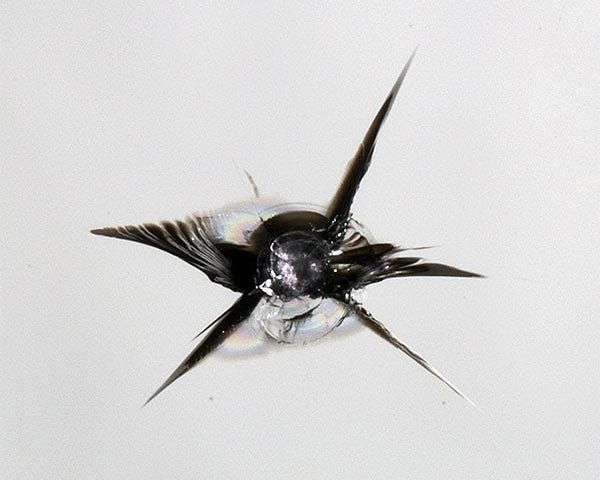 A close up of a cracked windshield on a white background