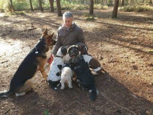 Man surrounded by five dogs in a wooded area, several dogs are looking at him.