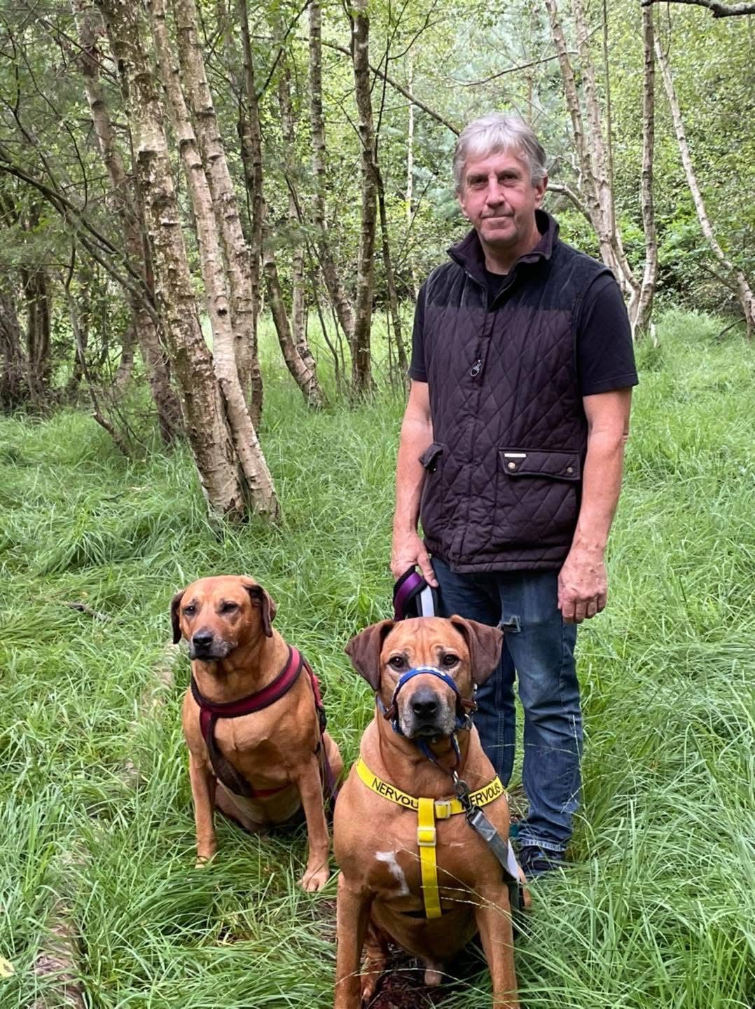 Man stands with two brown dogs in a forest, holding a leash.