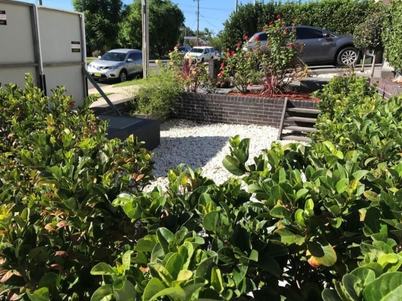 Lawn with parking area