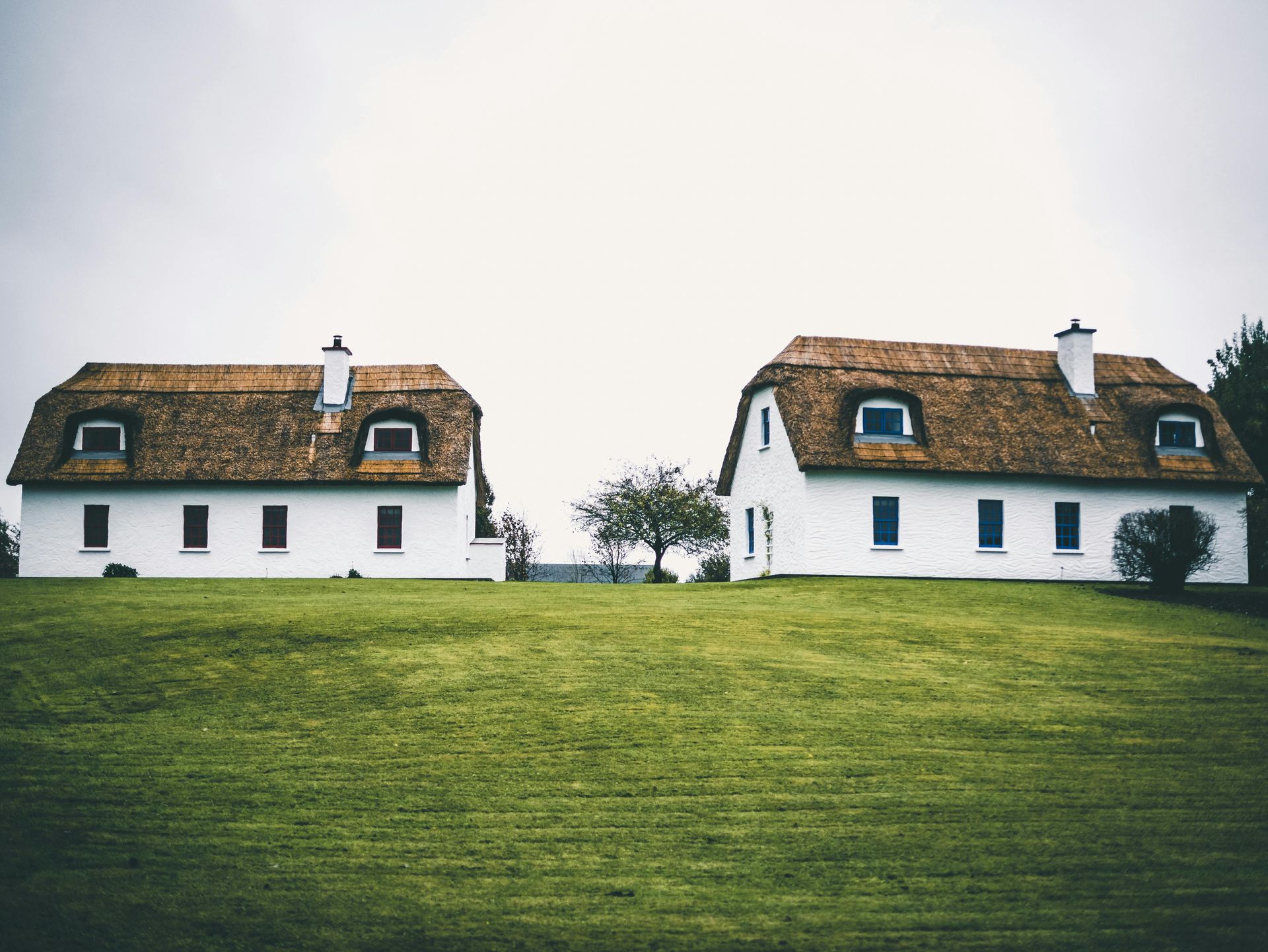 Two white farm houses with thatched roofs are sitting on top of a grassy hill.