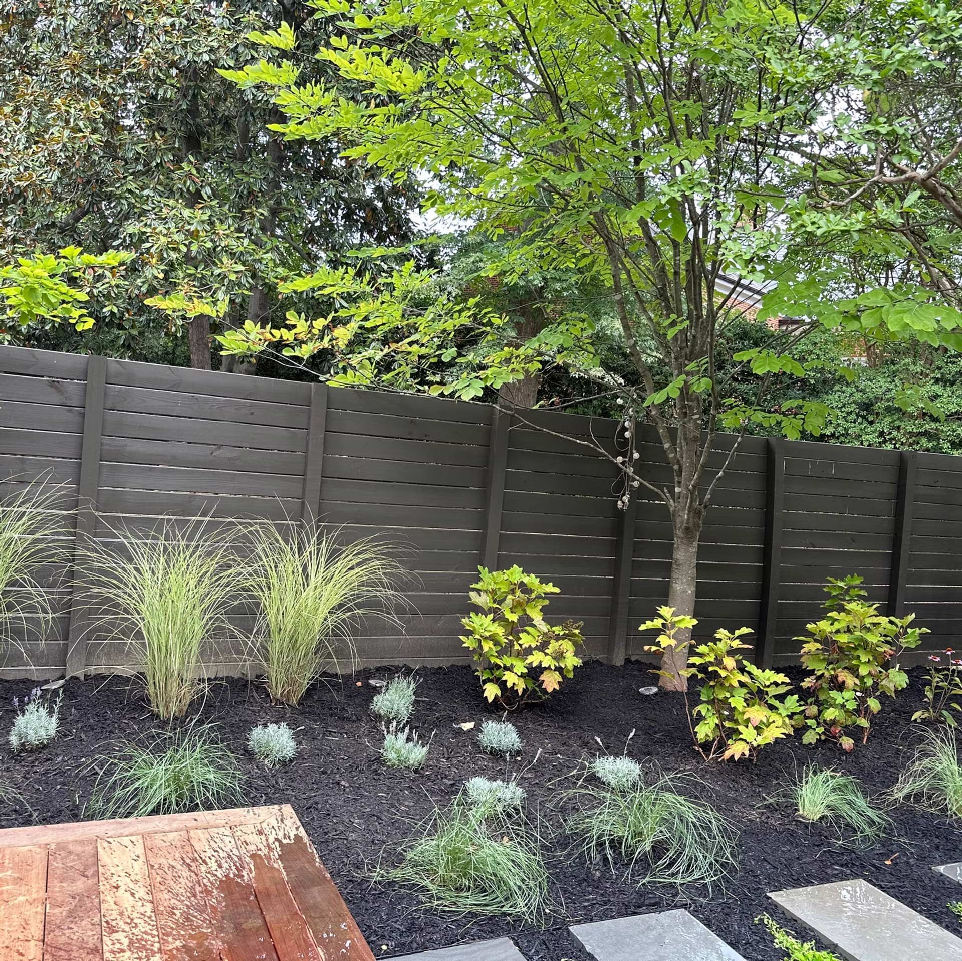 A garden bed with tall ornamental grasses, small green shrubs, and low-growing perennials against a dark wooden fence.