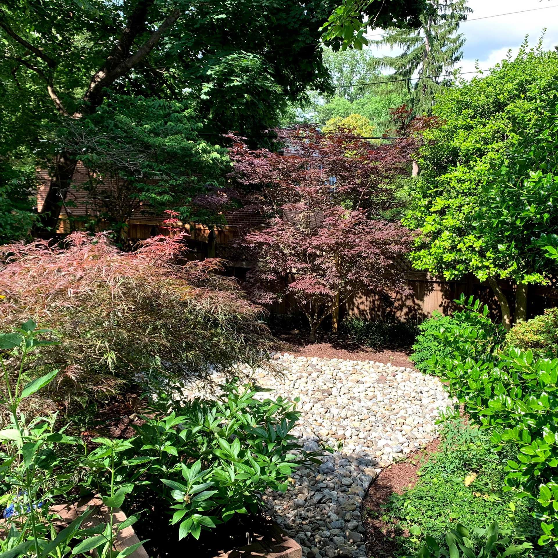 A person in a blue shirt and jeans uses a string trimmer to clear overgrown grass in a backyard.