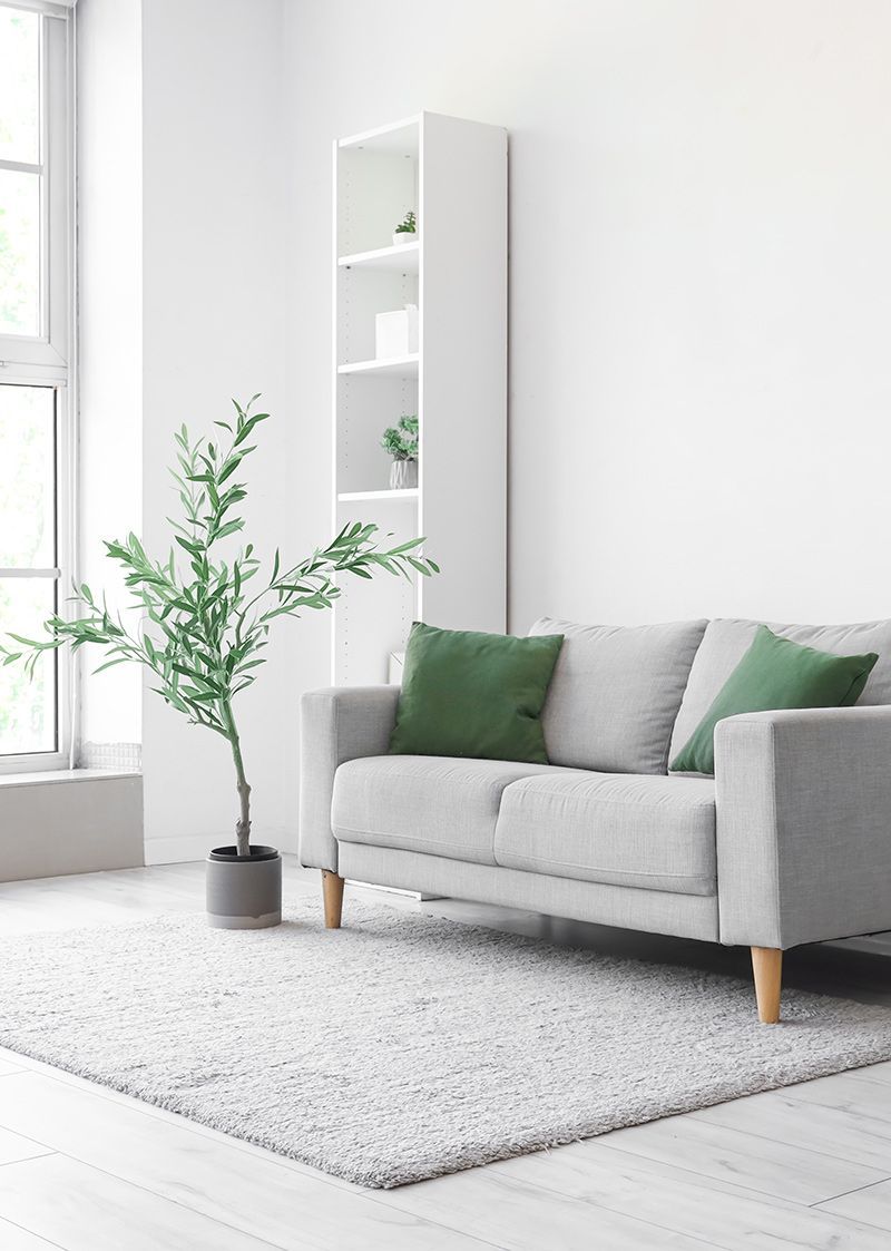 Living Room With Carpet And Sofa