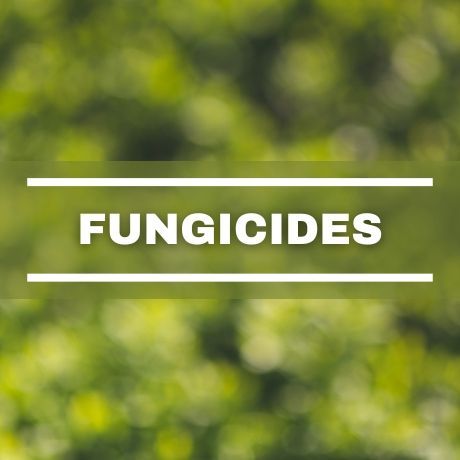 Fungicides Banner