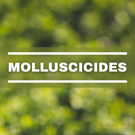 Molluscicides text over a blurred green background with white horizontal lines