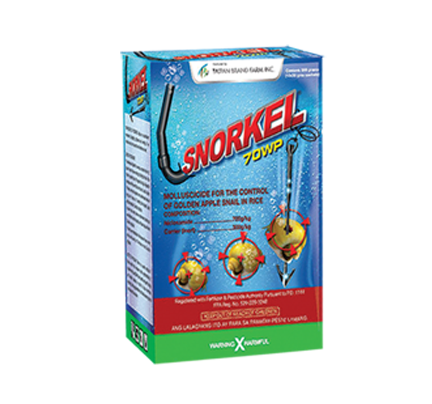 Snorkel