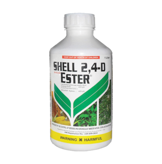 Shell 2, 4d Ester