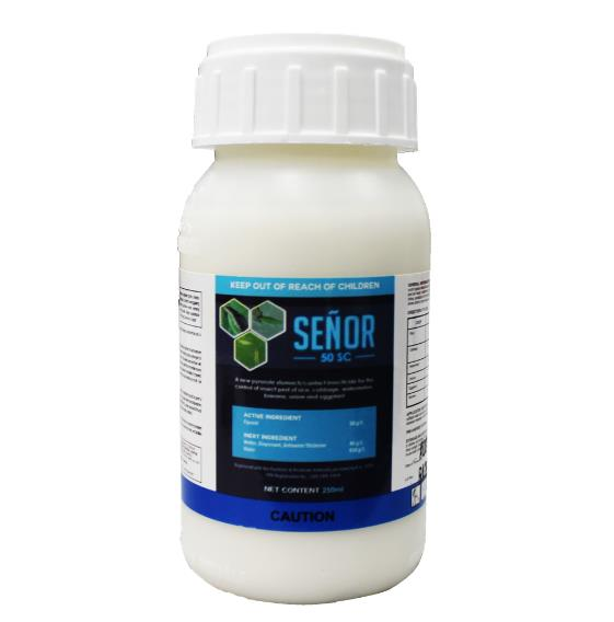 Senor