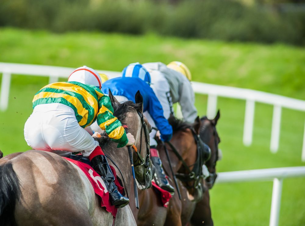 Cheltenham Day Trip - 1