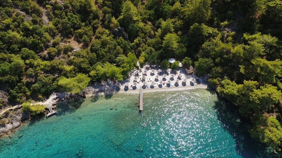 Hillside Beach Club