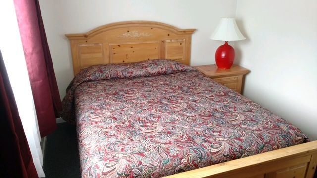 Pet-friendly motel room, Sunset Highway Motor Inn