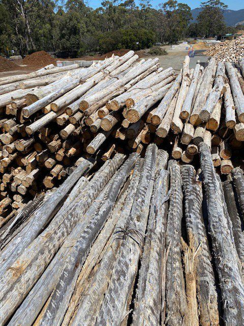 Stack of Logs in Mountain Landscape | Leslie Vale, Tas | Firewood Devils