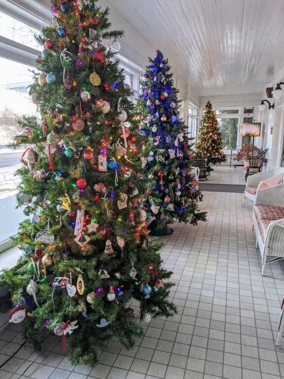 Christmas trees lining a covered porch