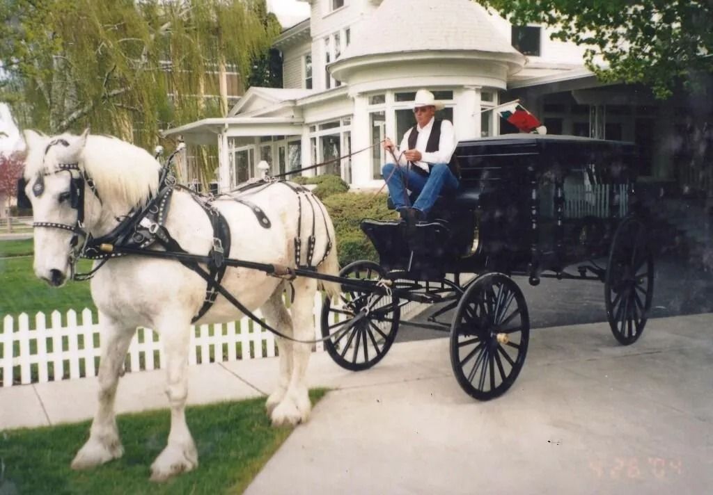White horse pulling a black carriage