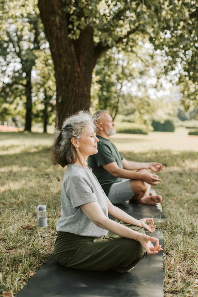 Two people meditating cross-legged on yoga mats in a sunny park under a tree