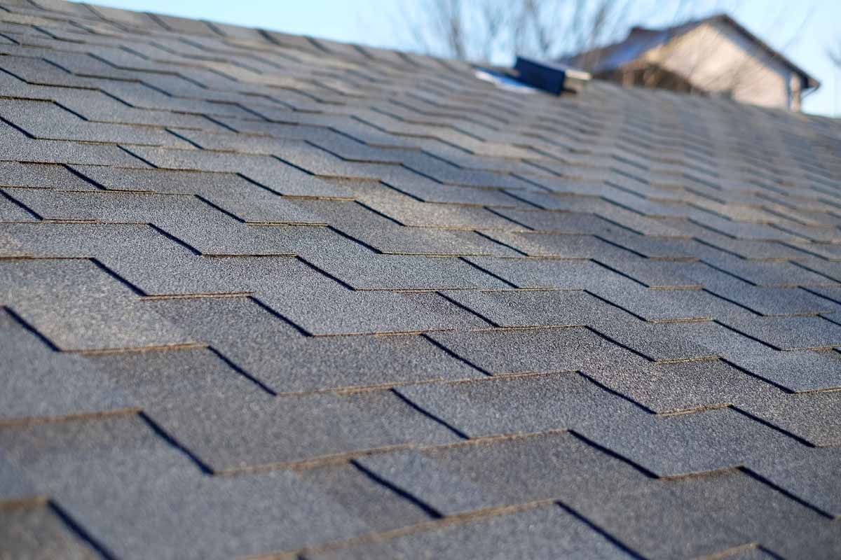 Gray asphalt shingle roof, angled view, showing texture and layering.