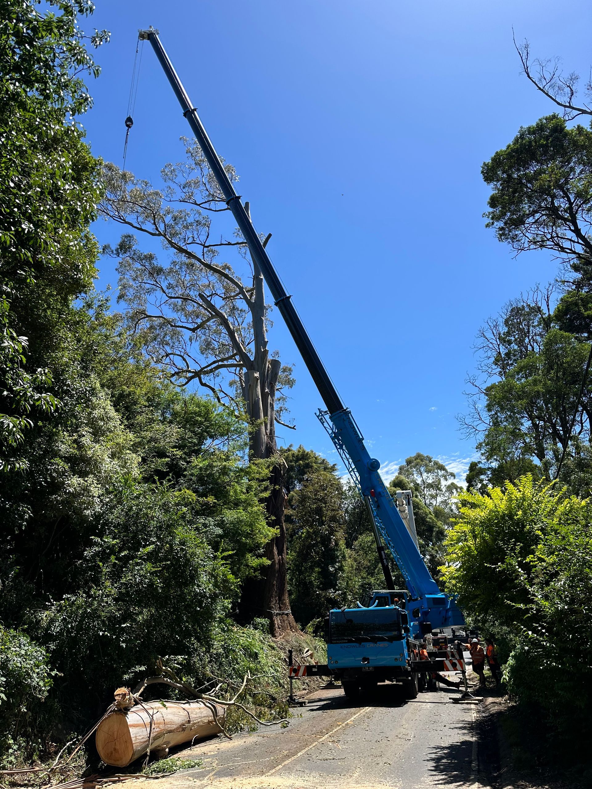 Heavy-duty crane