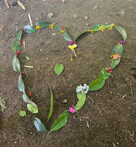 Heart shape made of green leaves and small colorful flowers on bare ground