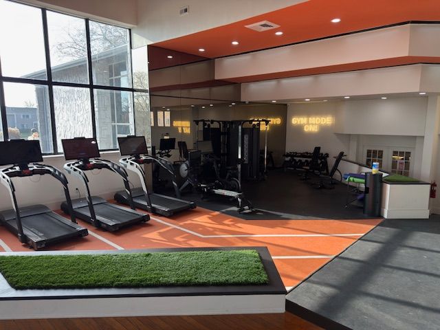 Modern gym with treadmills, weights, and large windows in a bright, open room
