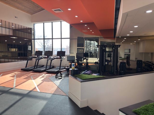 Modern gym with treadmills, exercise machines, and large windows under orange ceiling panels