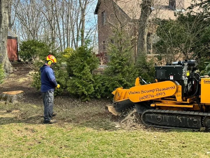 Worker beside yellow compact loader clearing brush in a yard beside a house