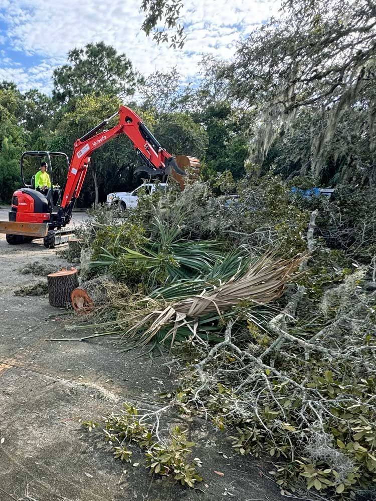 A red excavator is cutting down a tree in a yard.