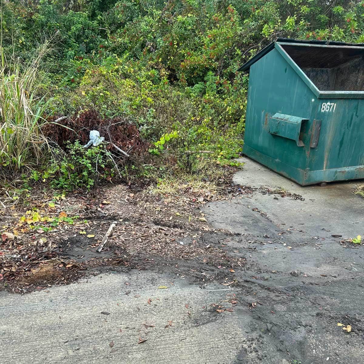 An empty spot next to a green dumpster