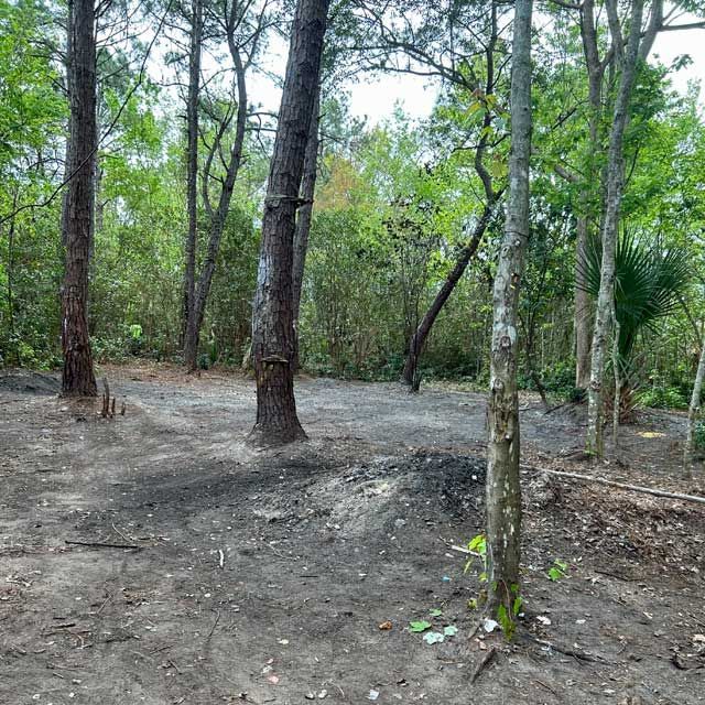 Photo of a homeless camp after property clean out.