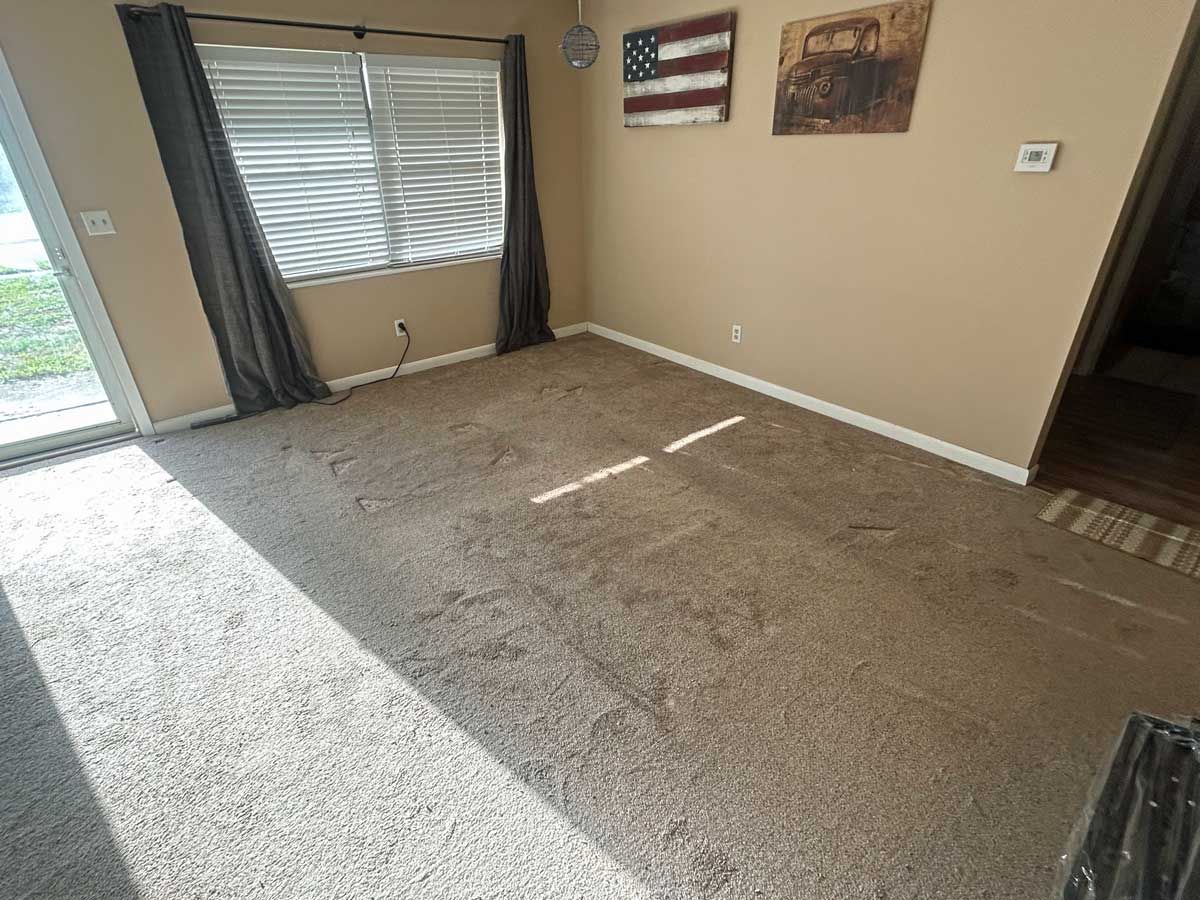 A living room with a carpeted floor and a window.