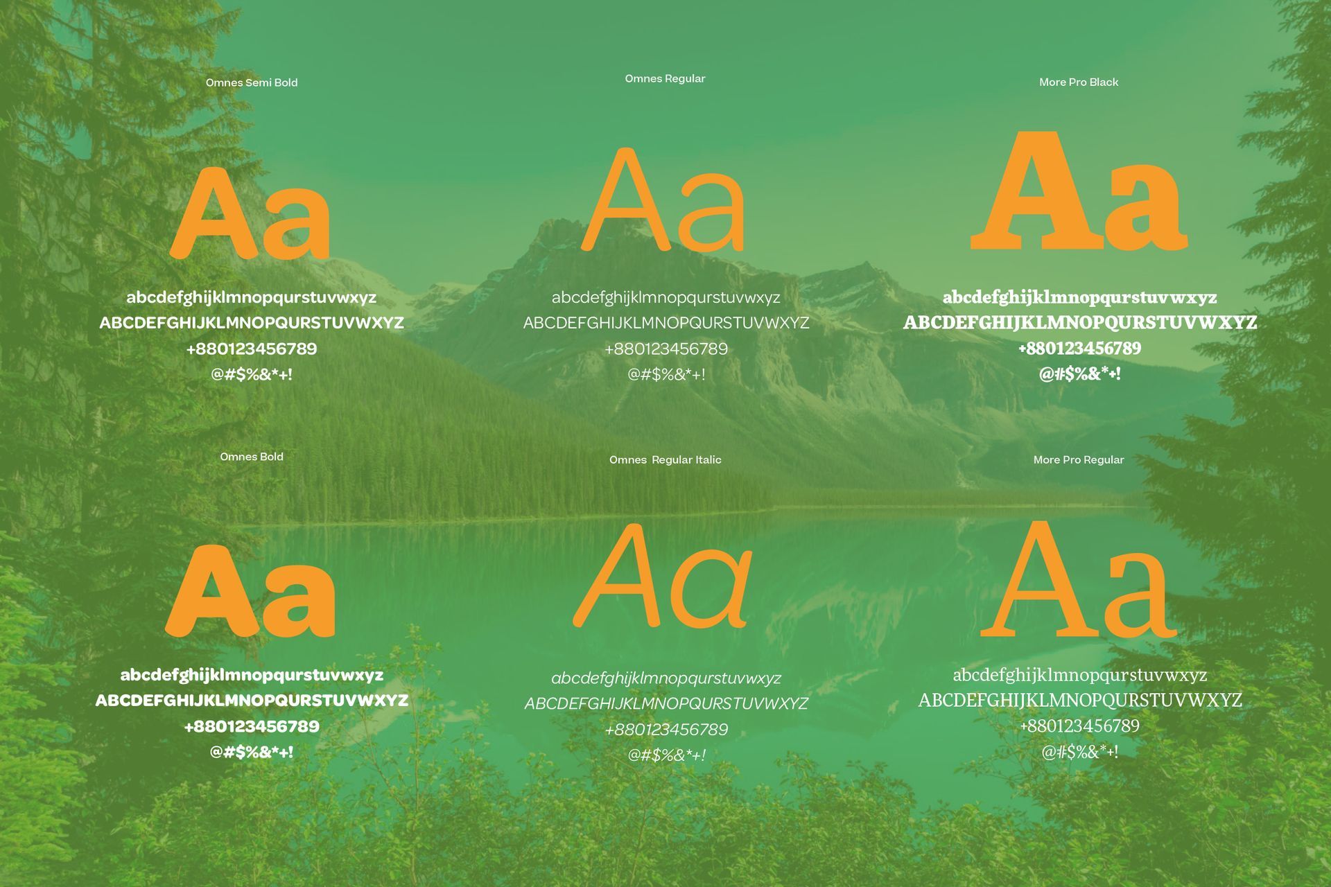 Yoho Ag Solutions logo design
