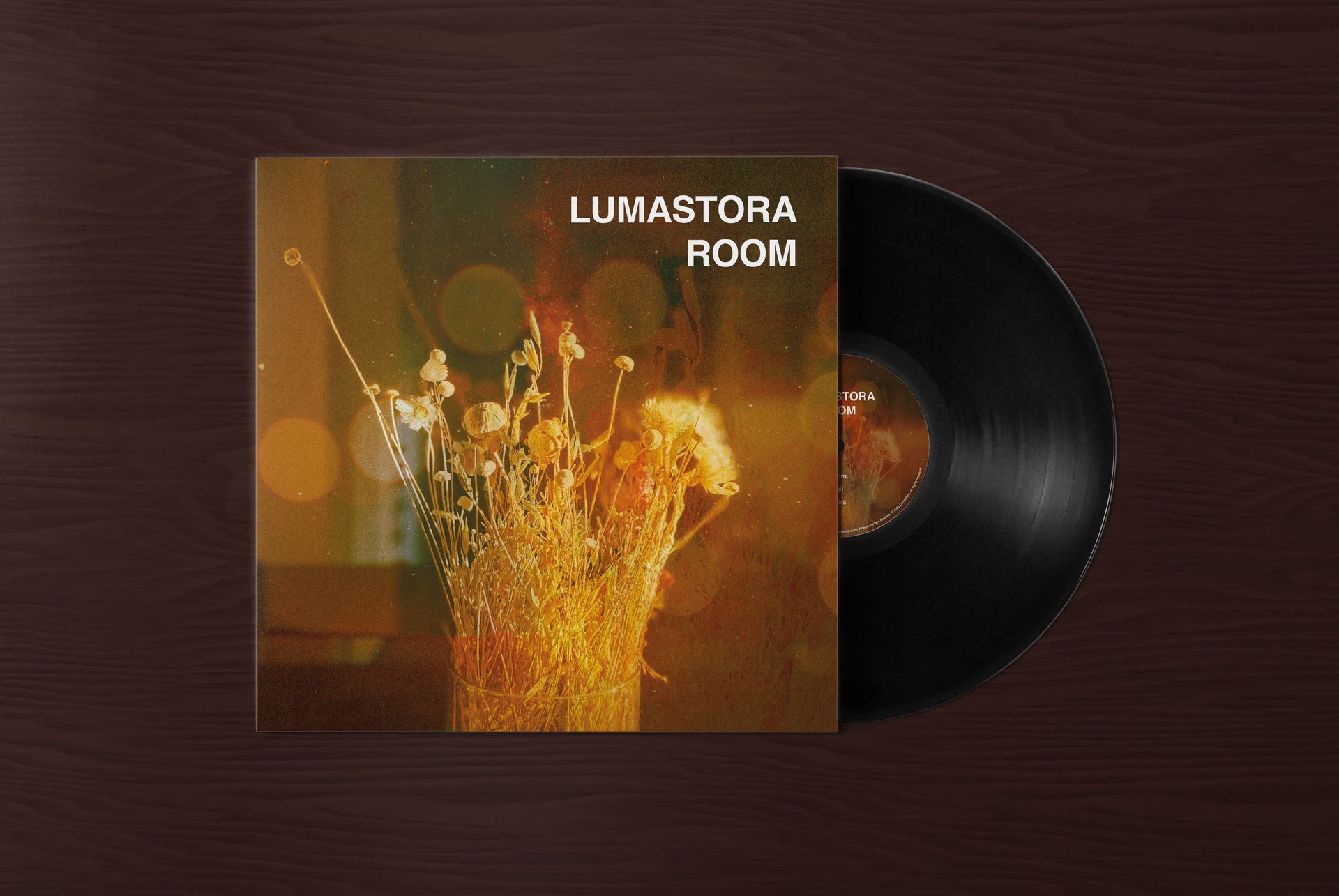 Album cover graphic design for an Arizona musician Lumastora.