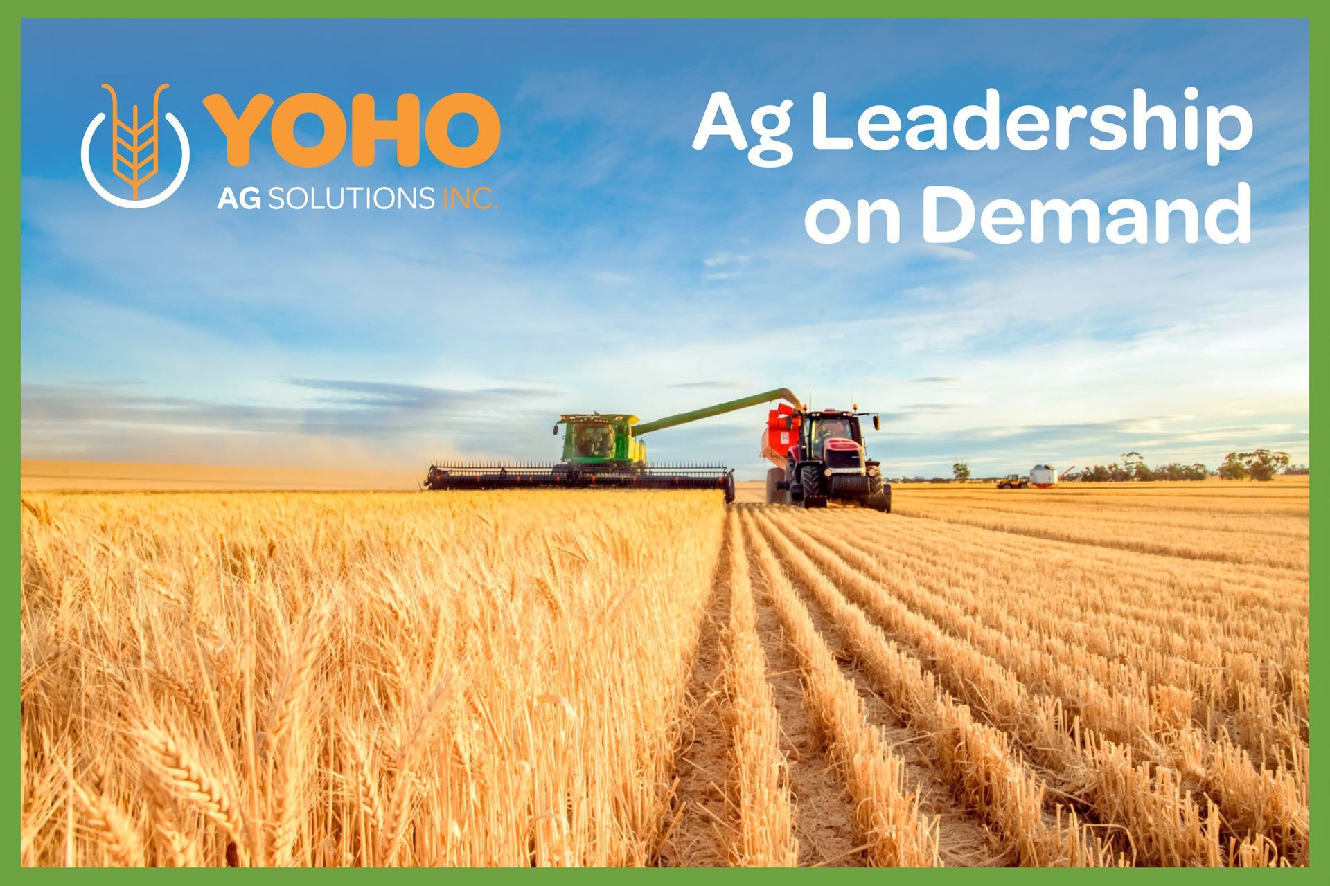 Yoho branding